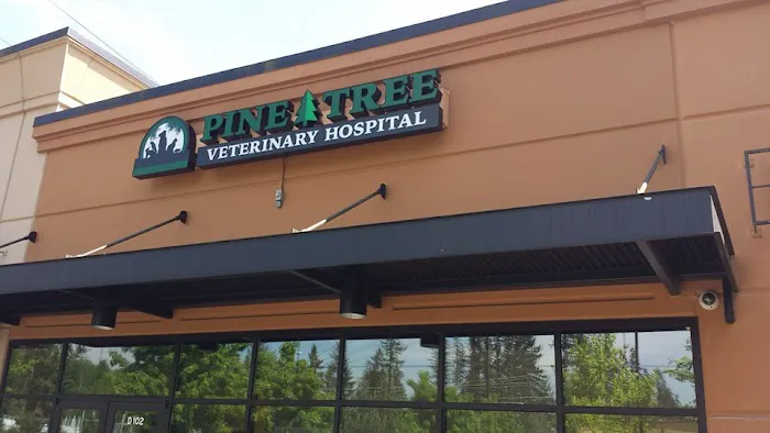 Pine Tree Veterinary Hospital Picture 3