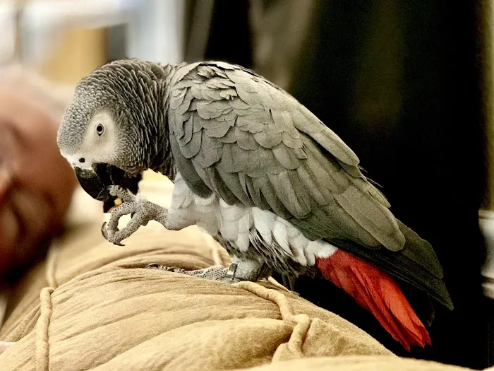 Pine Tree Veterinary Hospital Picture 8