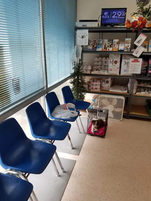 A Valley Animal Hospital Picture 5