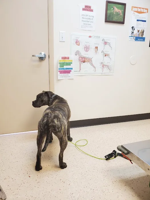 A Valley Animal Hospital Picture 6
