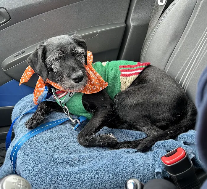 Banfield Pet Hospital Picture 5