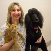 Cascade Veterinary Hospital ico