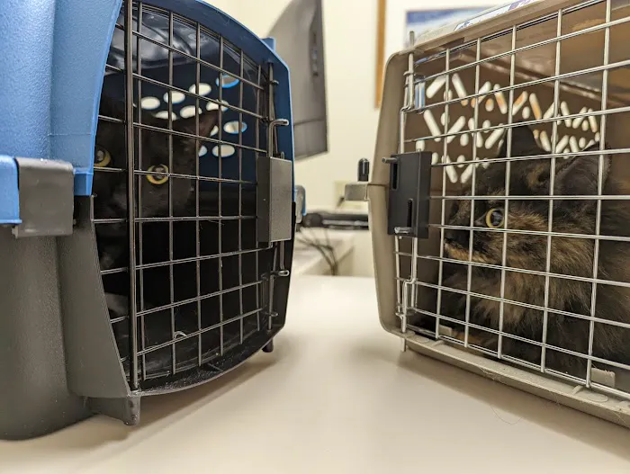 Cascade Veterinary Hospital Picture 7