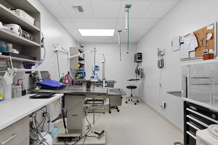 Twin Lakes Veterinary Hospital Picture 6