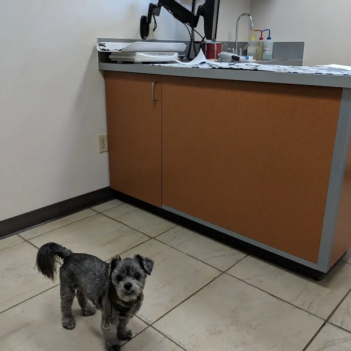 Twin Lakes Veterinary Hospital Picture 9