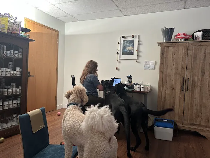 Balance Veterinary Medicine Picture 1