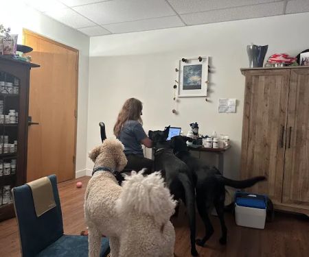 Balance Veterinary Medicine