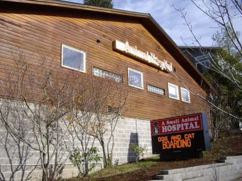 A Small Animal Hospital Picture 6
