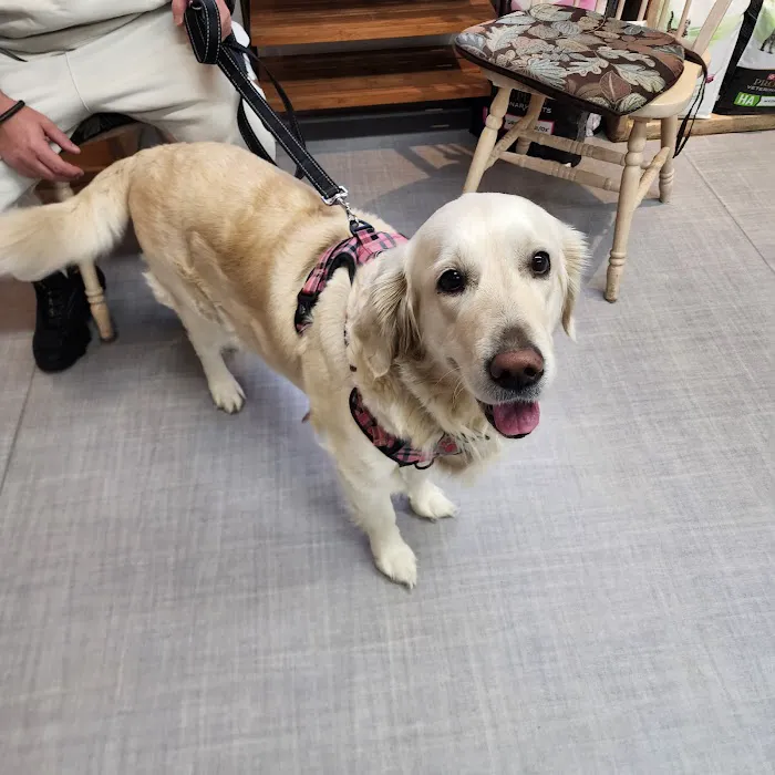 A Small Animal Hospital Picture 5