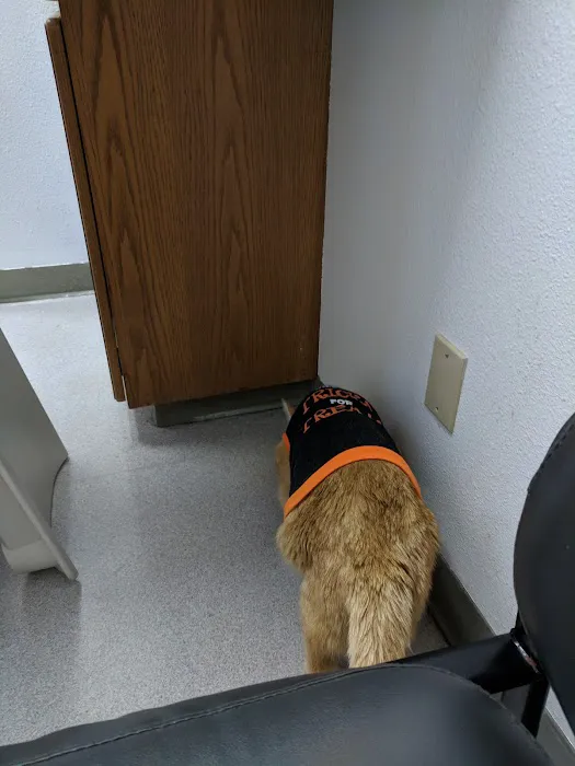 The Cat Doctor Picture 7