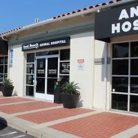 Seal Beach Animal Hospital ico