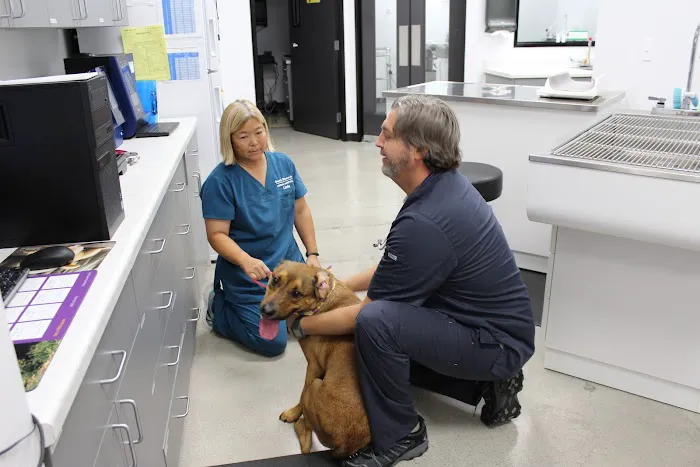 Seal Beach Animal Hospital Picture 7