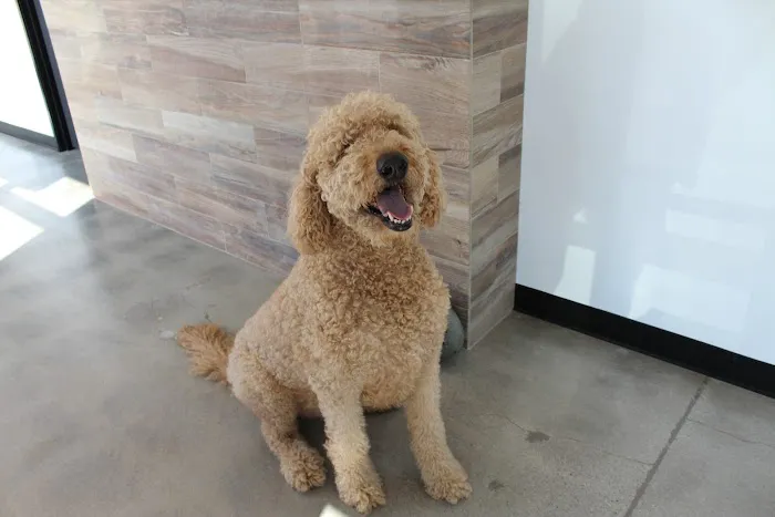 Seal Beach Animal Hospital Picture 8