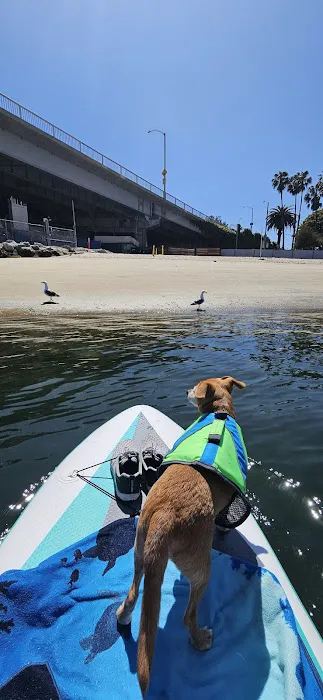 Sun Surf Veterinary Hospital Picture 2