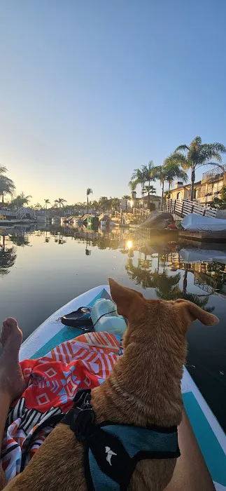 Sun Surf Veterinary Hospital Picture 3