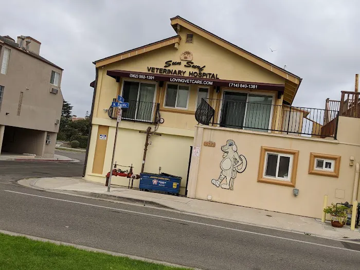 Sun Surf Veterinary Hospital Picture 4