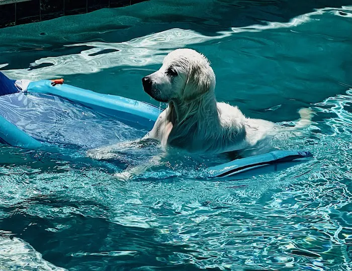 Sun Surf Veterinary Hospital Picture 7