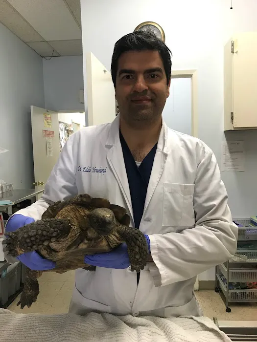 Sea Gate Veterinary Hospital Picture 6