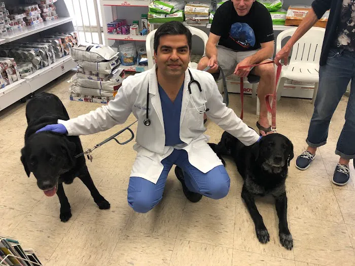 Sea Gate Veterinary Hospital Picture 3