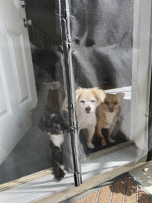 Sea Gate Veterinary Hospital Picture 5