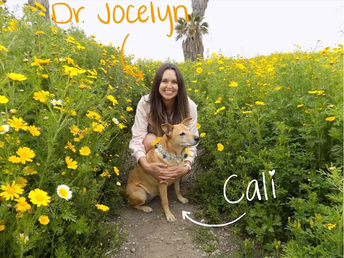 Cali's Cottage Veterinary Hospital Picture 2
