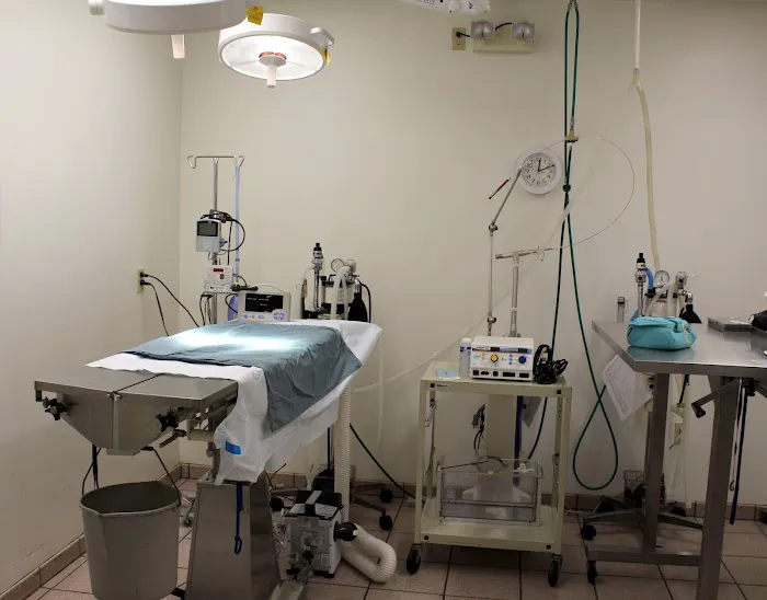 Banfield Pet Hospital Picture 1