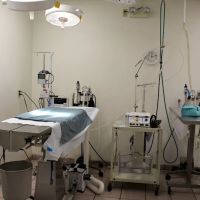 Banfield Pet Hospital ico
