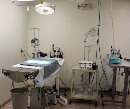 Banfield Pet Hospital