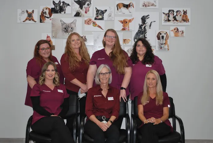 Banfield Pet Hospital Picture 8