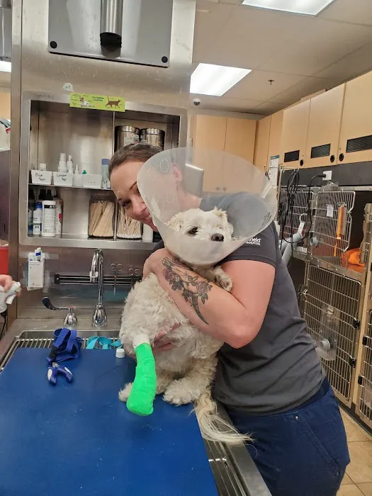 Banfield Pet Hospital Picture 10