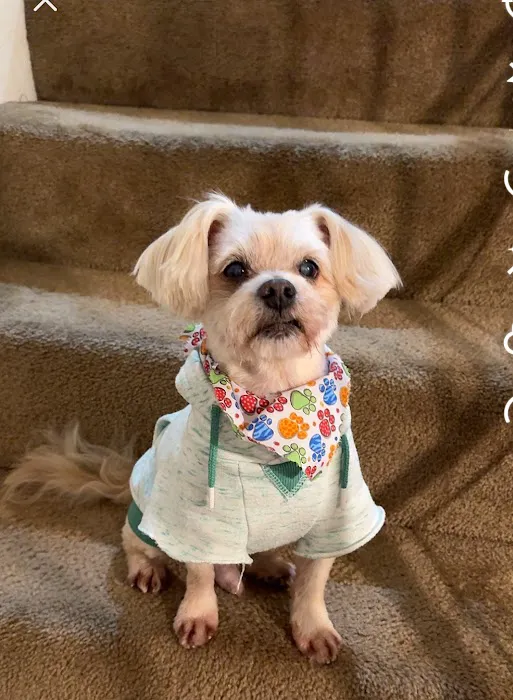 LOVE Animal Hospital and Urgent Care Picture 8