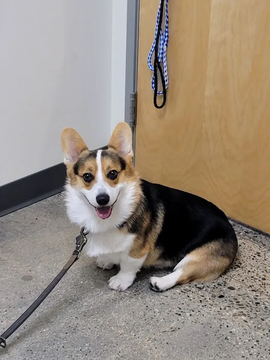 Vetco Total Care Animal Hospital Picture 2