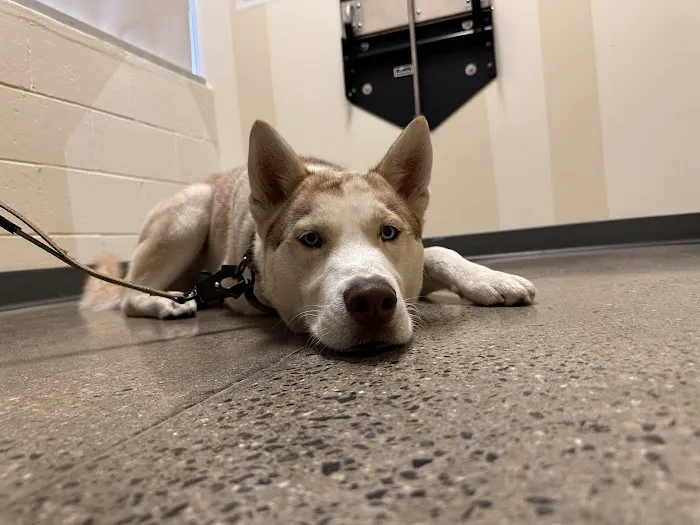 Vetco Total Care Animal Hospital Picture 8