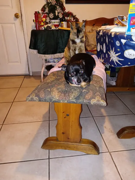 Stanton Pet Hospital Picture 1