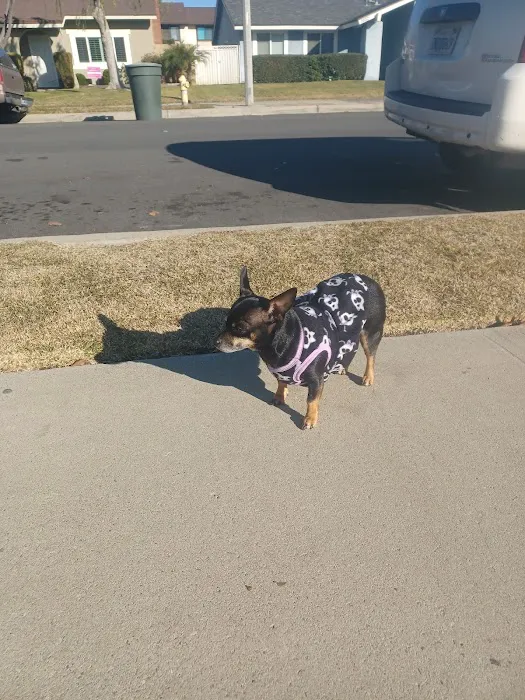 Stanton Pet Hospital Picture 6