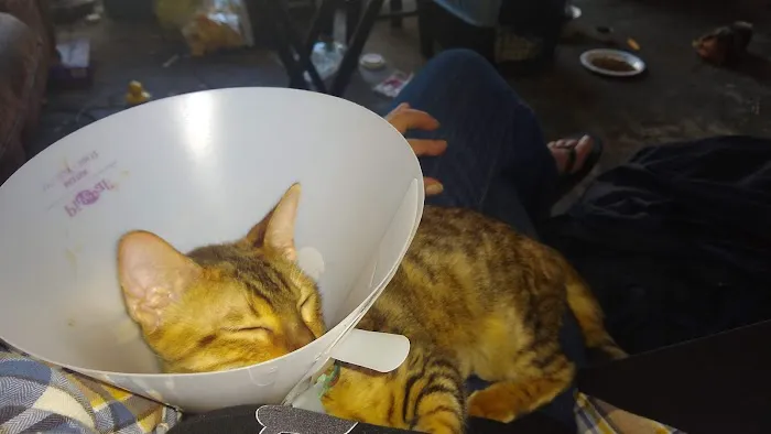 Stanton Pet Hospital Picture 2