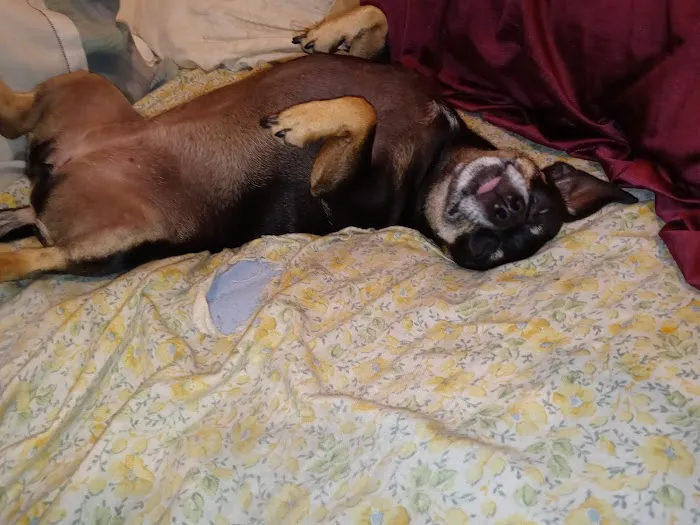 Stanton Pet Hospital Picture 7