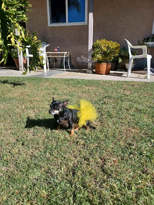 Stanton Pet Hospital Picture 9