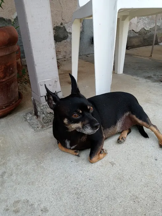 Stanton Pet Hospital Picture 8