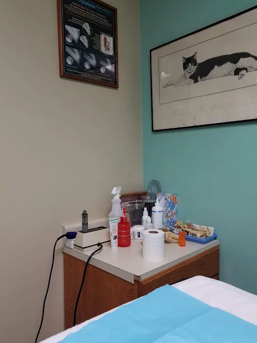 Brookhurst Animal Medical Center Picture 5
