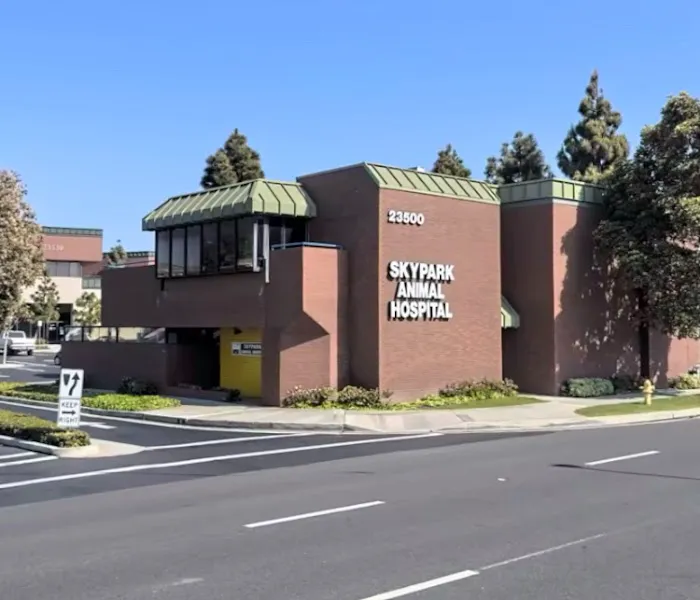 Skypark Animal Hospital Picture 1