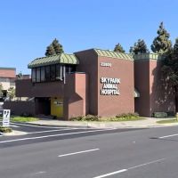 Skypark Animal Hospital ico