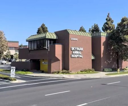 Skypark Animal Hospital
