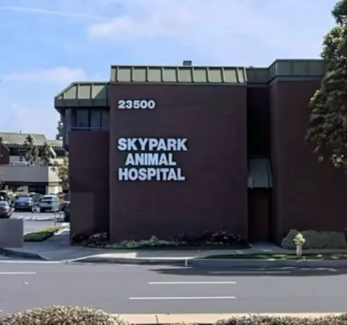 Skypark Animal Hospital Picture 2