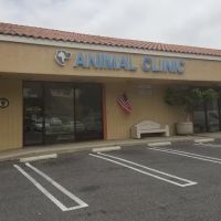 Country Hills Animal Clinic ico