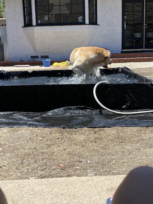 Country Hills Animal Clinic Picture 8