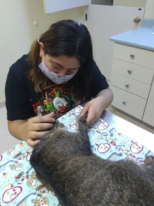 Country Hills Animal Clinic Picture 6