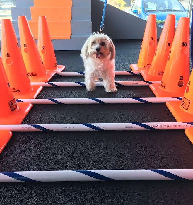 Beach Animal Rehabilitation Picture 1
