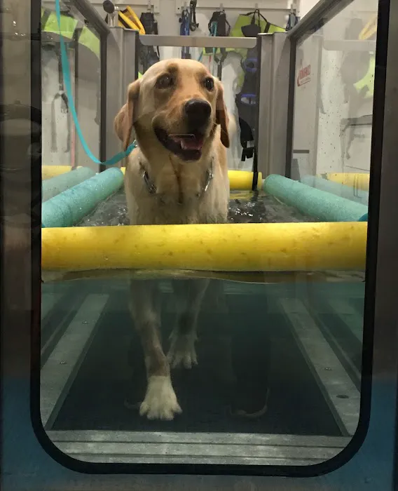 Beach Animal Rehabilitation Picture 8