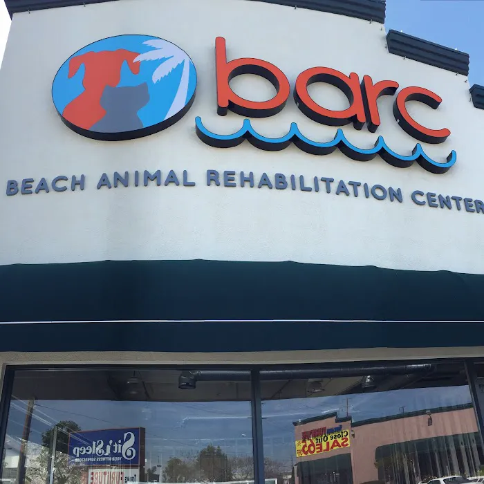 Beach Animal Rehabilitation Picture 6